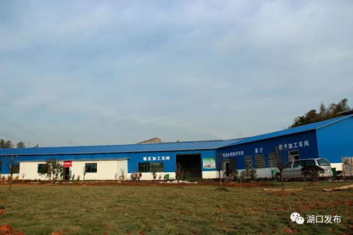 湖口這個鄉鎮變化太大了,美到你不認識 是你家鄉嗎